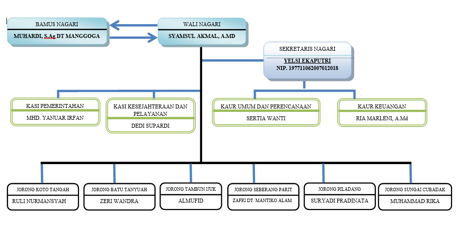 Struktur Organisasi Nagari